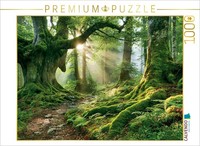 Calvendo Puzzle Paths To Forest Happiness | 1000 Pieces, Finished Size 25.2 × 18