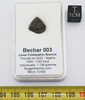 Meteorit Lunar Bechar 003-Feldspathic Breccia (Algerien - 1.136 gramme-025 ** )