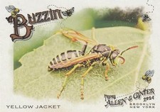 Yellow Jacket 2024 Topps Allen & Ginter BUZ-13 Baseball Card