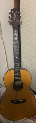 Akustikgitarre Takamine T-Serie T-P2N Modell Natur