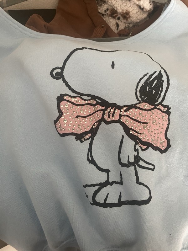 Snoopy Peanuts Pink Bow, Black Sheer Lace Long Sleeve Shirt, Vcut, Gray Leggings