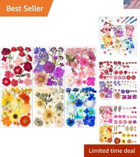221PC Nature Dried Pressed Flower  Butterfly Sticker Set for Crafting Magic