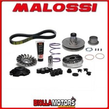 6118835 GRUPPO TRASMISSIONE OVER RANGE MALOSSI GILERA STALKER 50 2T