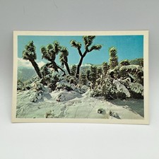 Winter on the Desert, Colorado and Mohave Deserts, Death Valley, Postcard