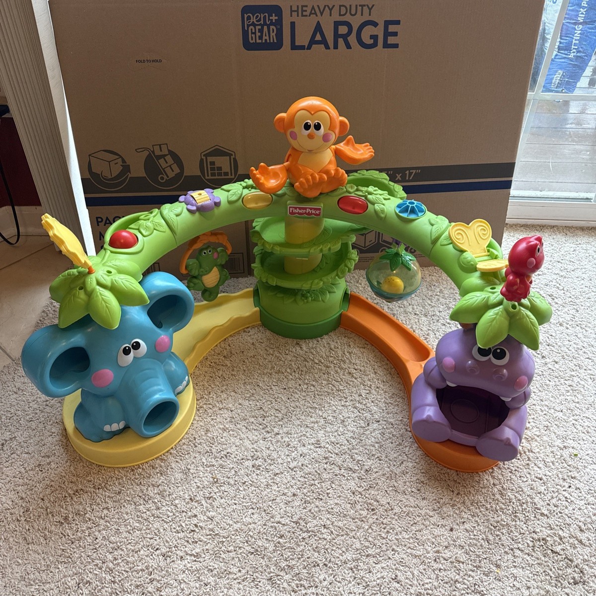 crawl and cruise musical jungle