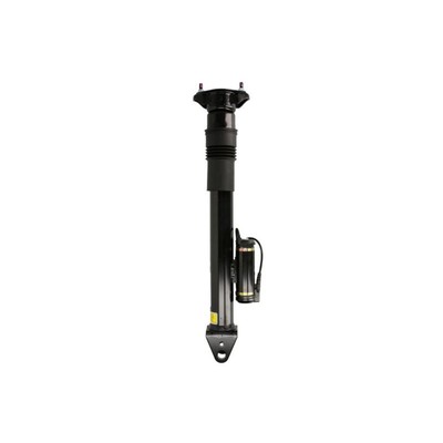 Stoßdämpfer ARNOTT EUROPE SK-2867