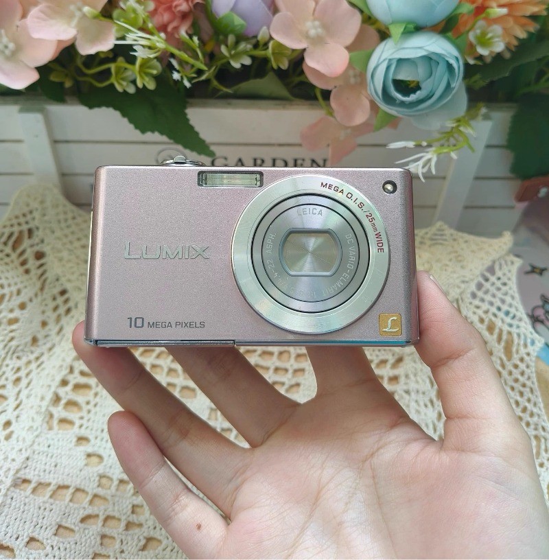 Panasonic LUMIX DMC-FX37 Pink 10.1 MP Digital Camera with