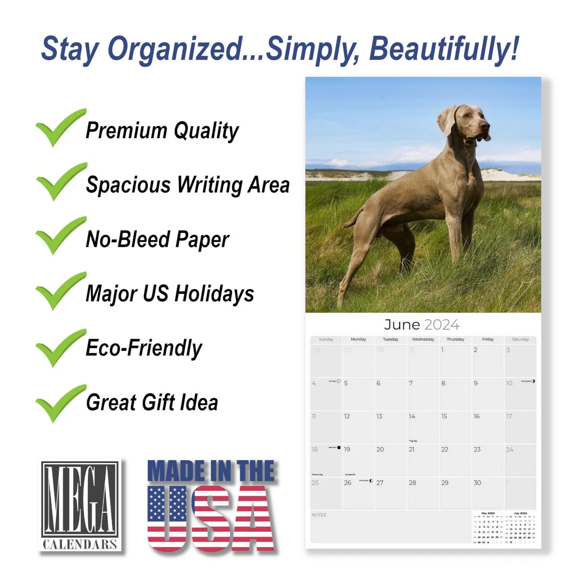 Weimaraner Dog Breed Calendar 2024 FULL SIZE 12x24 Made in USA