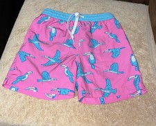 Preowned Youth Sz small 8/9 CHUBBIES swim Trunks/excellent Condition