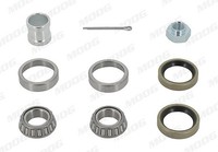 Moog Radlagersatz Hinterachse U.A. FüR Fiat, FSO