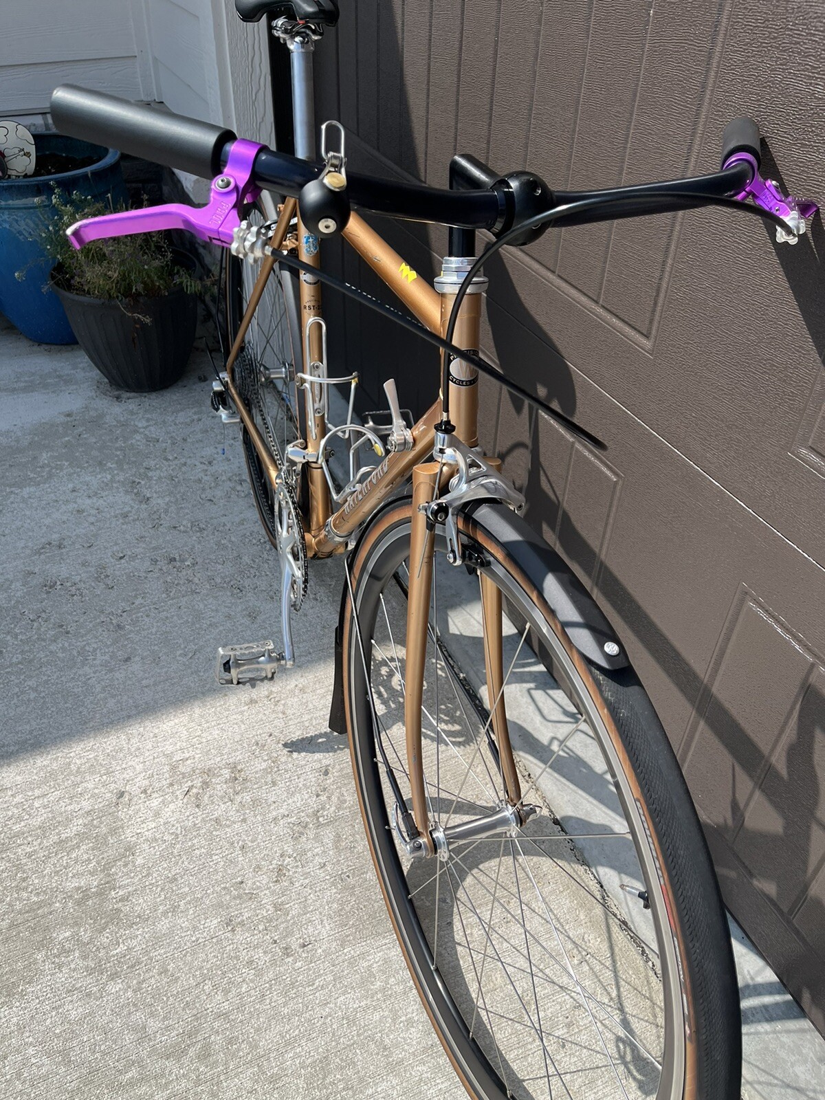 Waterford RST-22 coupled mid reach frame, Campagnolo drivetrain.