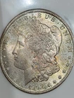 1902 0 $1 Morgan Dollar MS64 NGC Toned