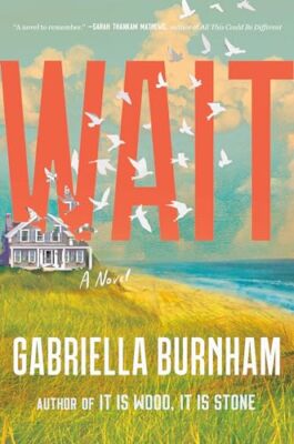 Wait A Novel - Hardcover - GOOD
