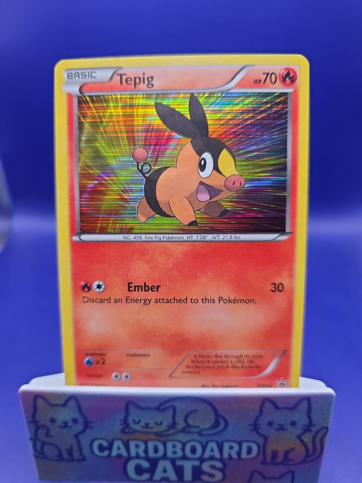 Tepig BW02 Black And White Promo Rare Holo Pokemon