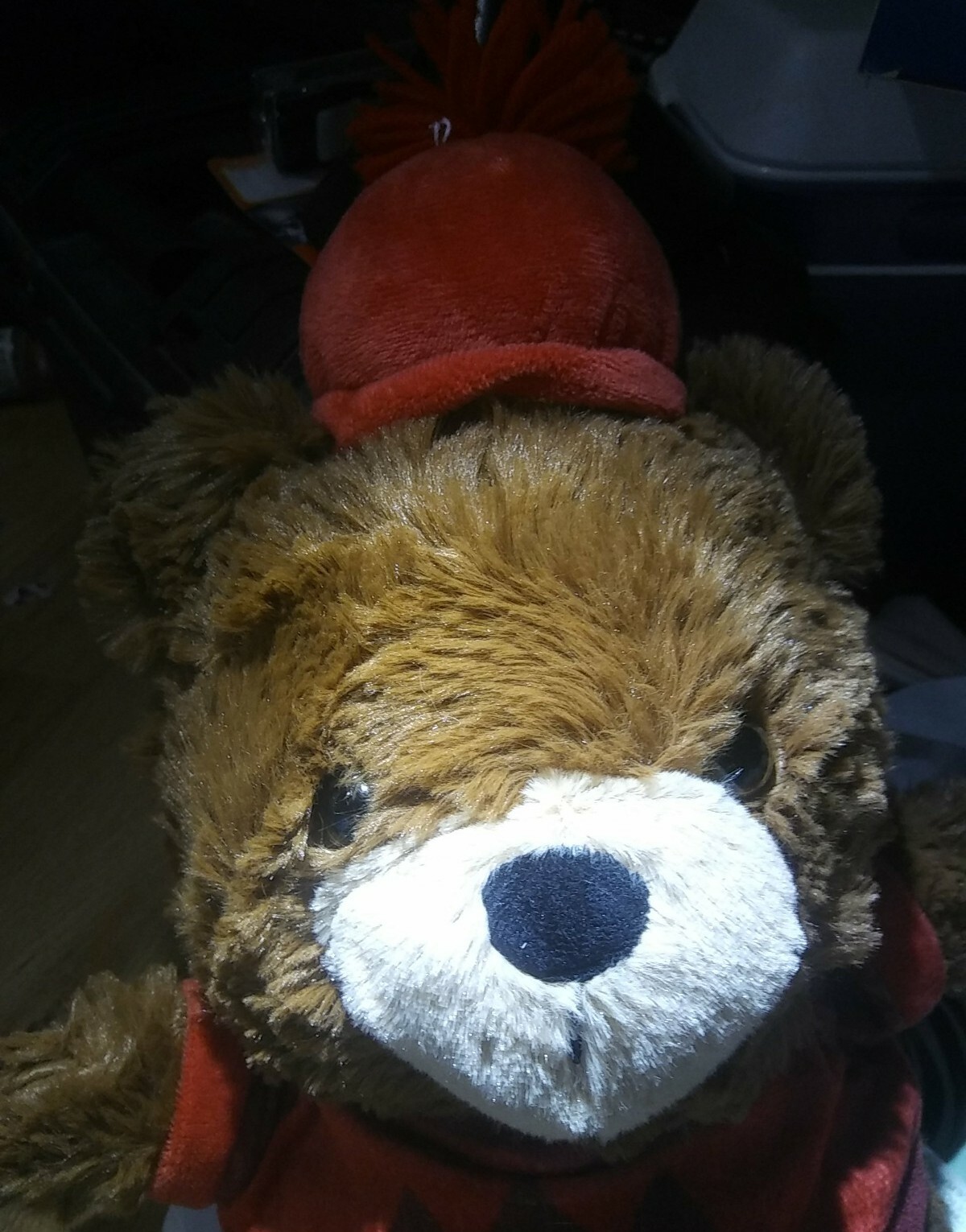 Target 2021 Animal Adventure Bear Plush Stuffed plush Red Sweater Hat eBay