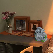 Dog Memorial Gifts for Loss of Forever My Guardian Angel Garden Stone Passing