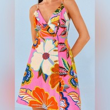 Anthropolgie Farm Rio Garden Mini Dress Pink Floral Size Large