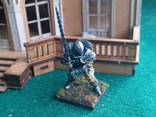 Fully Painted DnD Character/NPC Guard Captain...