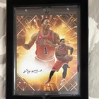 Derrick Rose 2025-26 Under Wraps Emanate NBA Auto 8x10 Photo Orange /25 Bulls