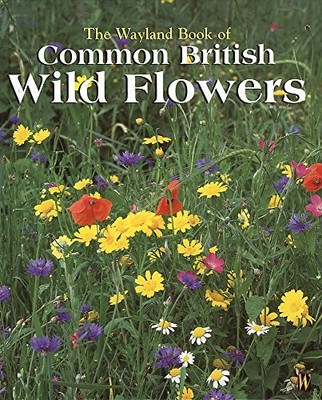 Common British Wild Flowers: A Photographic G... by Greenaway, Theresa Paperback