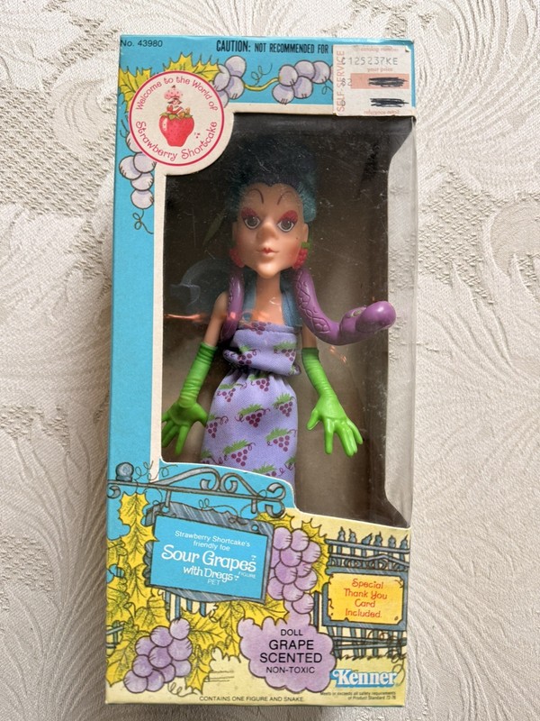 Vintage 1982 Kenner Strawberry Shortcake Sour Grapes with Dregs Doll in Box