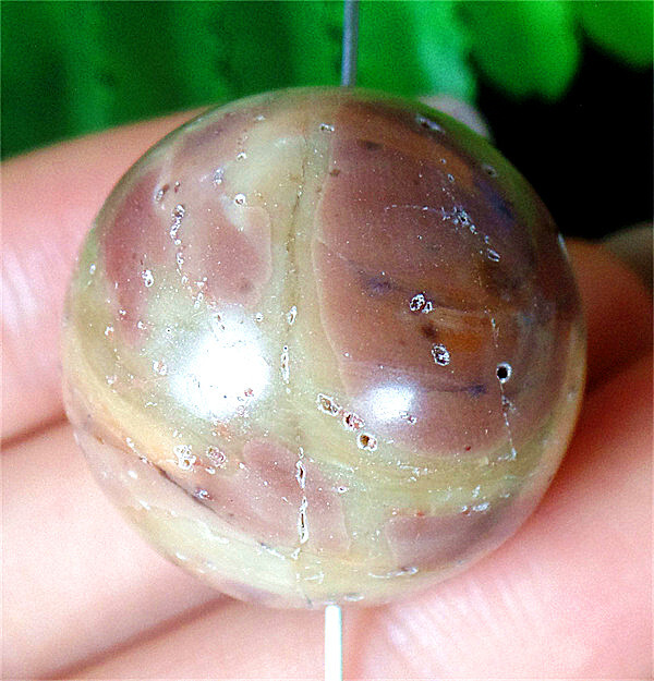 NORDISK■[Early Breeze] Color ball cap ■送料込 25mm Natural Coffee Australian Zebra Jasper Round Ball Bead