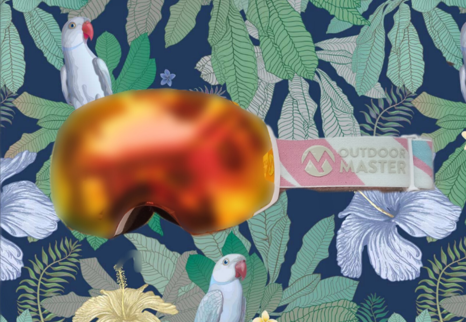 Outdoor Master Snowboard Goggles 