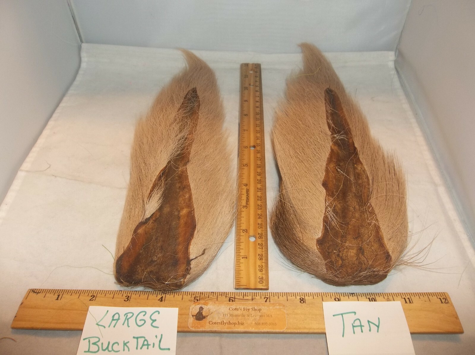 1 LARGE BUCKTAIL 10"12" Fly Tying / Jigs Natural & Dyed Deer tails