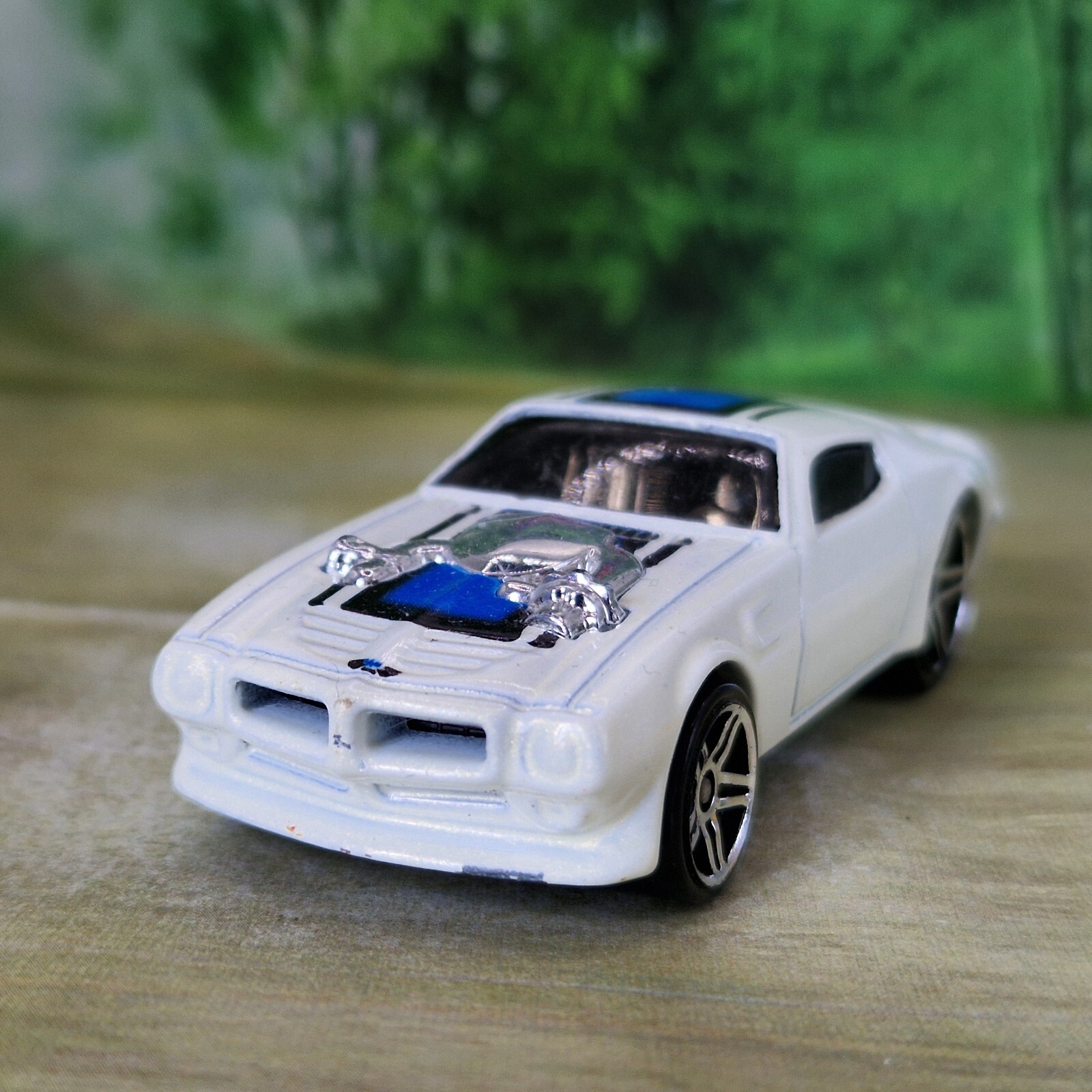Picture 6 of 6