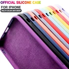 For iPhone 17 16 15 14 13 12 Pro Max 11 Liquid Silicone Velvet Soft Case Cover