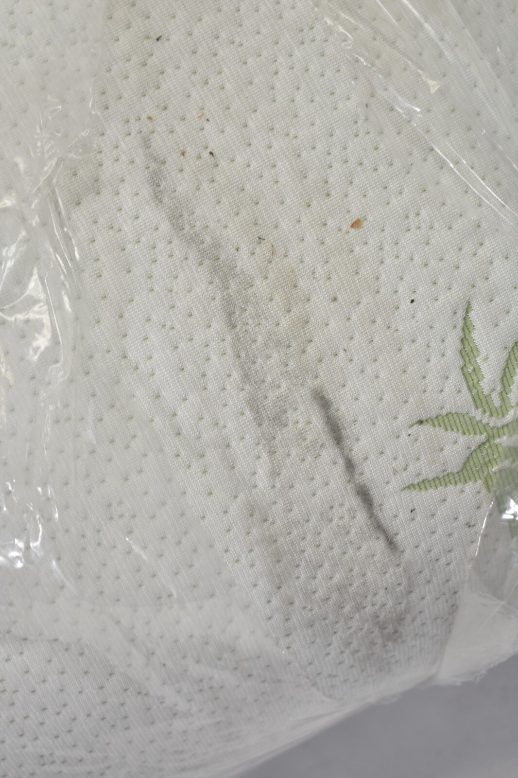 Serta Ultra Rayon Bamboo Pillows 2 Pack Standard/Queen Size Light Green