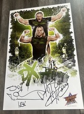 Triple H Shawn Michaels DX Signed Poster. 11