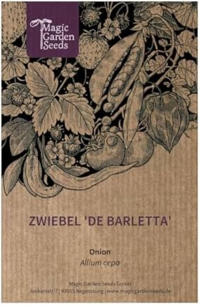 Cipolla 'De Barletta' (Allium cepa) circa 250 semi Cipolla argentata senza bucci