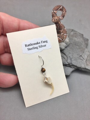 Single Rattlesnake Fang Earring Large Sterling Silver Hook Tigerseye Bead New