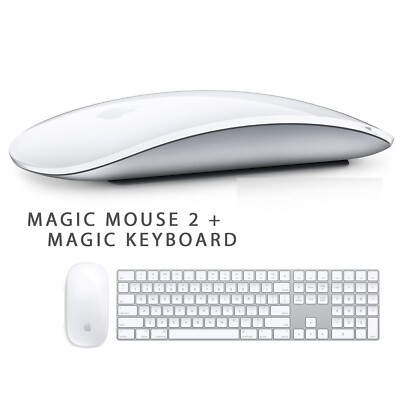 US Magic Keyboard A1843とMagic Mouse2 セット Apple Magic Keyboard