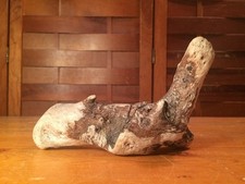 Beautiful 7" DRIFTWOOD Piece Art Terrarium Taxidermy Aquarium Beach Wood DECOR