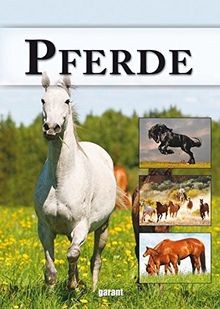 Pferde: VON APACO-PFERD BIS ZWEIBRÜCKER WARMBLUT von - | Buch | Zustand sehr gut