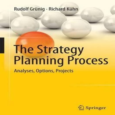 The Strategy Planning Process Analyses Options Projects Springer