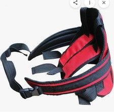 Sleeri Child Motorcycle Safty Belt