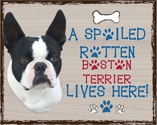 Boston Terrier Lives Here - Funny Animal Wall Art Decor, Cute Terrier...