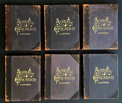 1898 Complete 6 Vol ANIMATE CREATION J.G. Wood -Mammalia Birds Fishes & Reptiles
