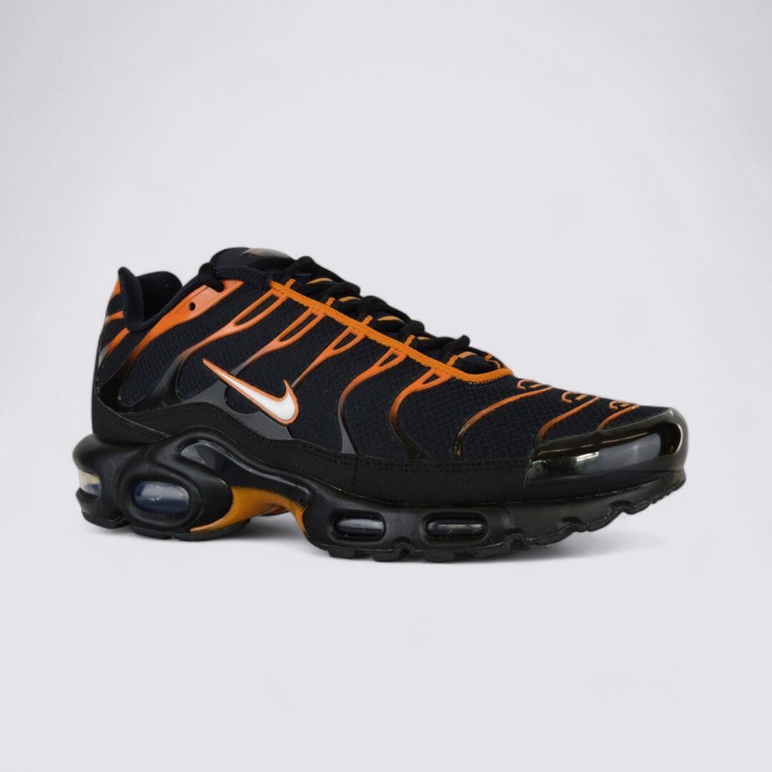 Nike Air Max Plus FN6949-400 Men's Sneakers | eBay