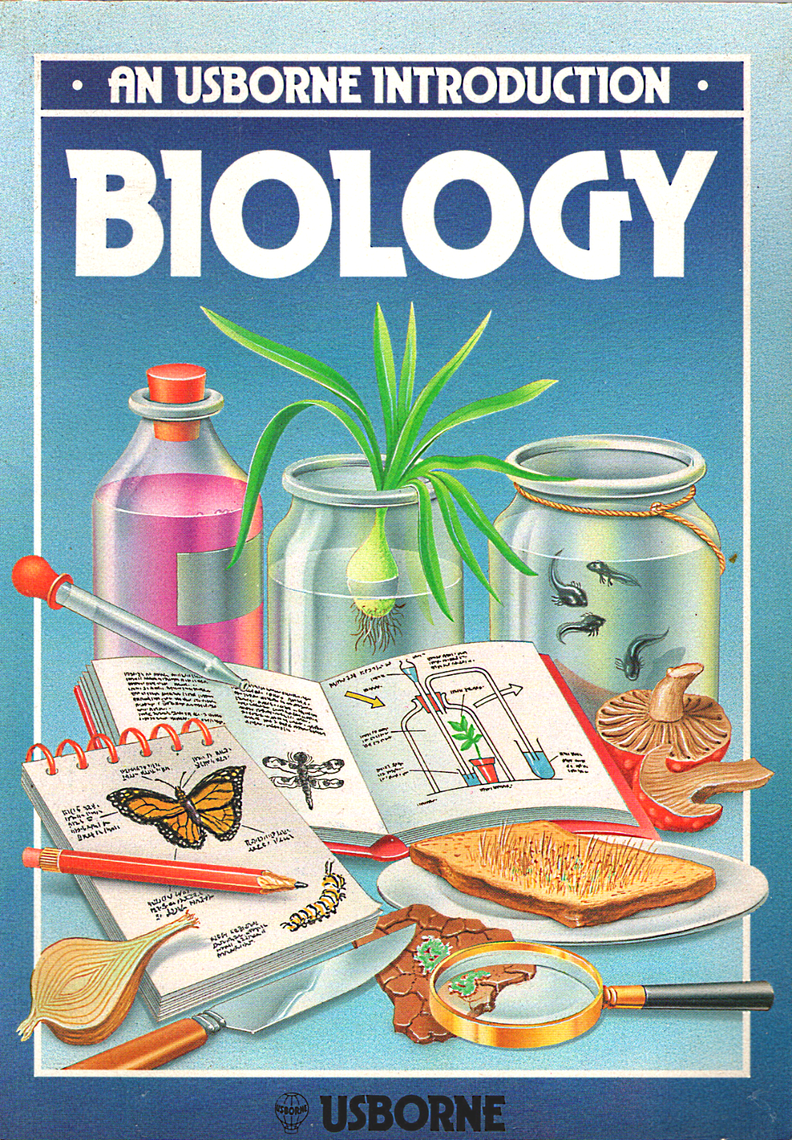 Biology: An Usborne Introduction - Jane Chisholm, David Beeson - Paperback, Good