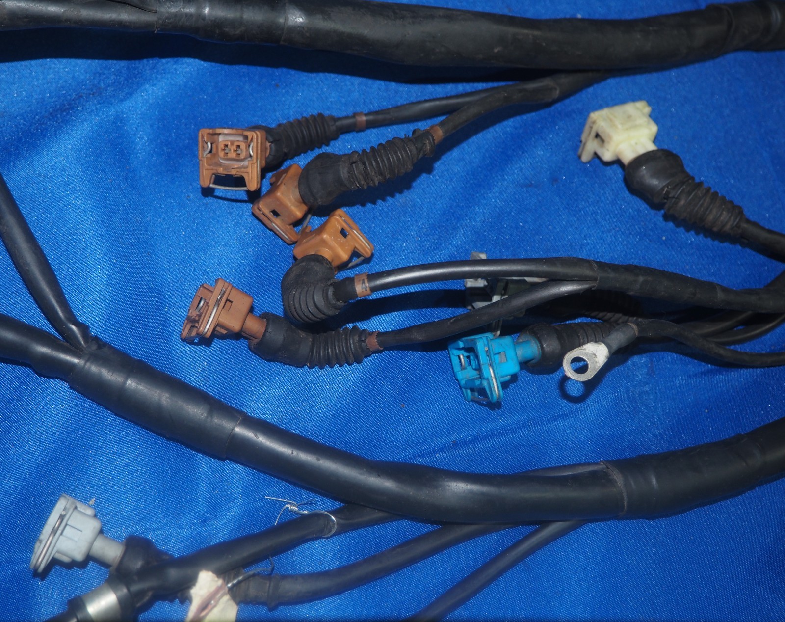 1996-1999 Ferrari F355 5.2 Motronic 3.5L V8 Engine Wiring Harness W/F1 Trans OEM