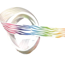 3 yards 7/8" Multi-Color Tiger Stripes on White Grosgrain Ribbon 100 polyester