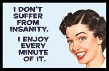 I Don't Suffer From InsanityEnjoy Every Minute Crazy Mental Delusion MAGNET