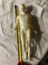 Acupuncture Male Model 19" Human Acupoint Doll Chinese Medicine Learning Dummy