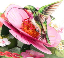 Birthday Card, Hover Hummingbird Pop up Card, 3D Greeting Cards for Birthday, Mo