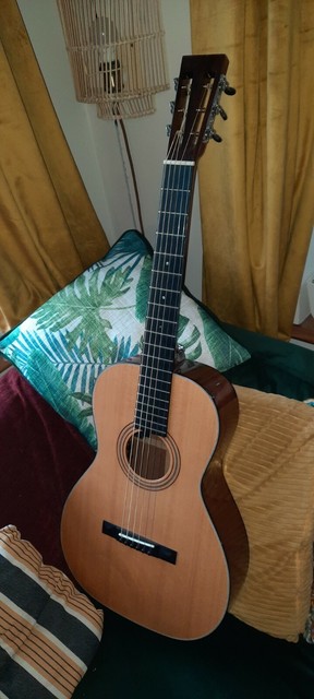 parlour guitar hard case