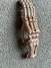 ZIMA 1994 Skeleton Hand Halloween Grabber Costume Accessory, Works!